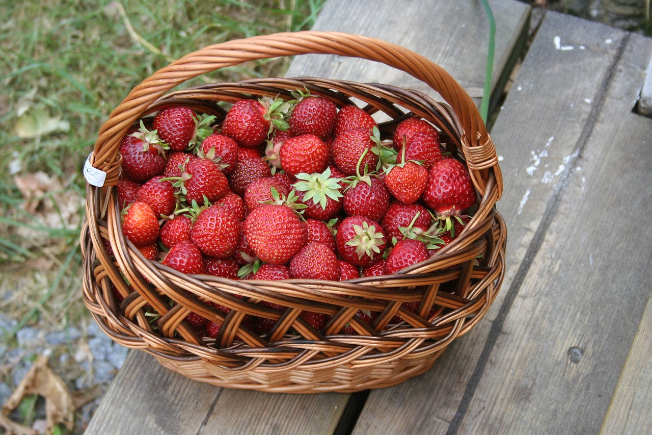 summer strawberries basket free photo