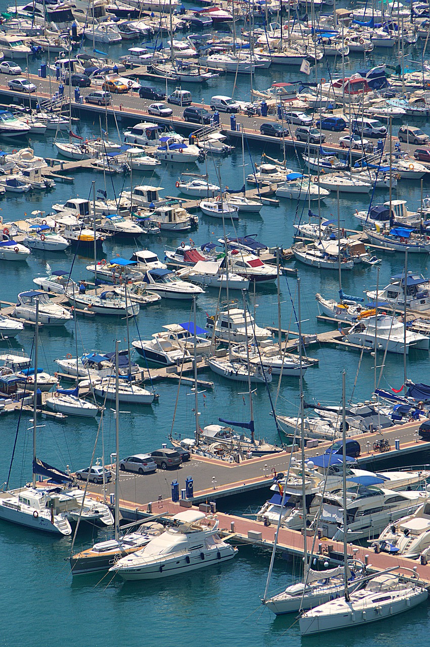 summer sea sailboats free photo