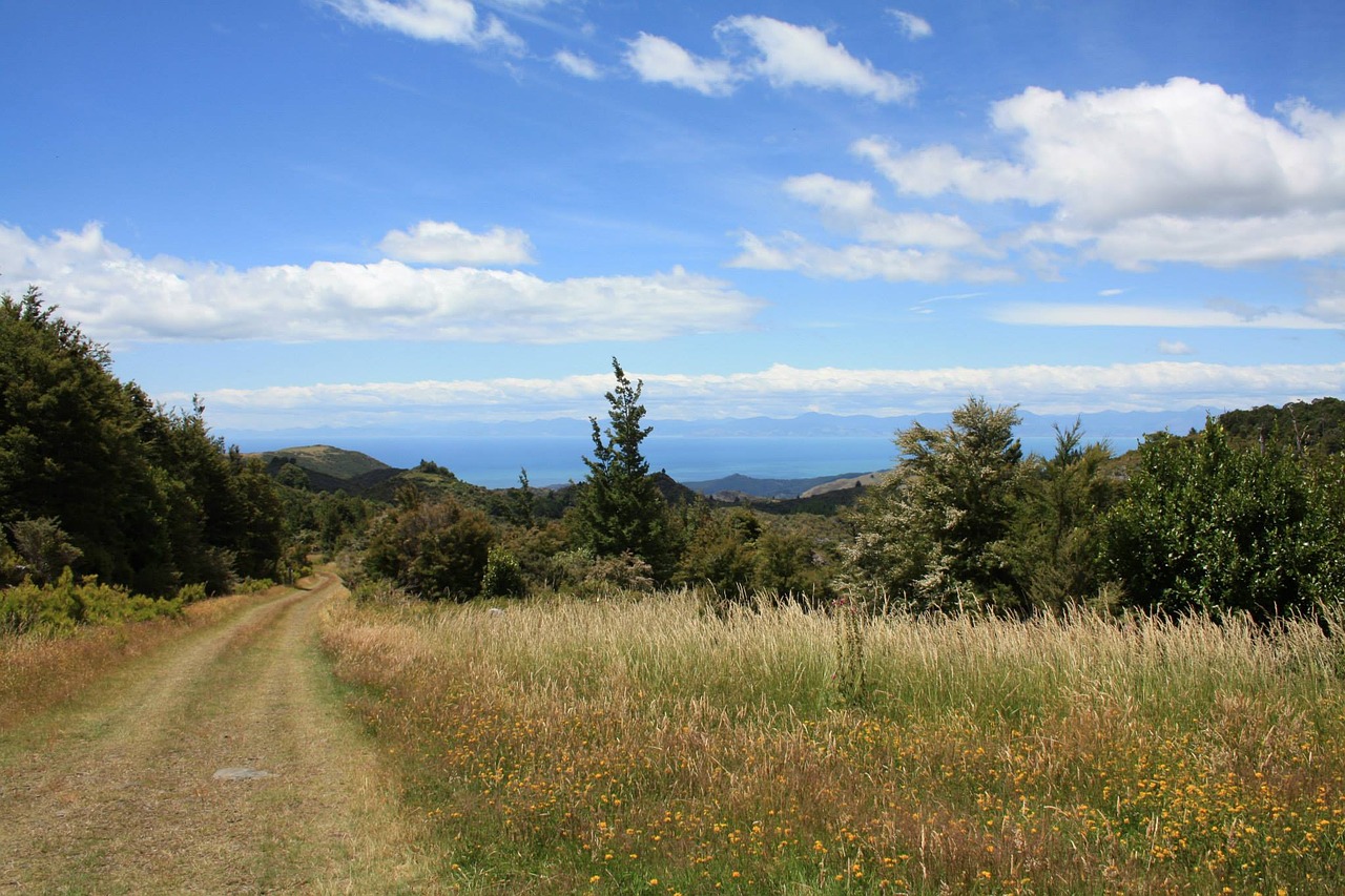 summer views blue sky free photo