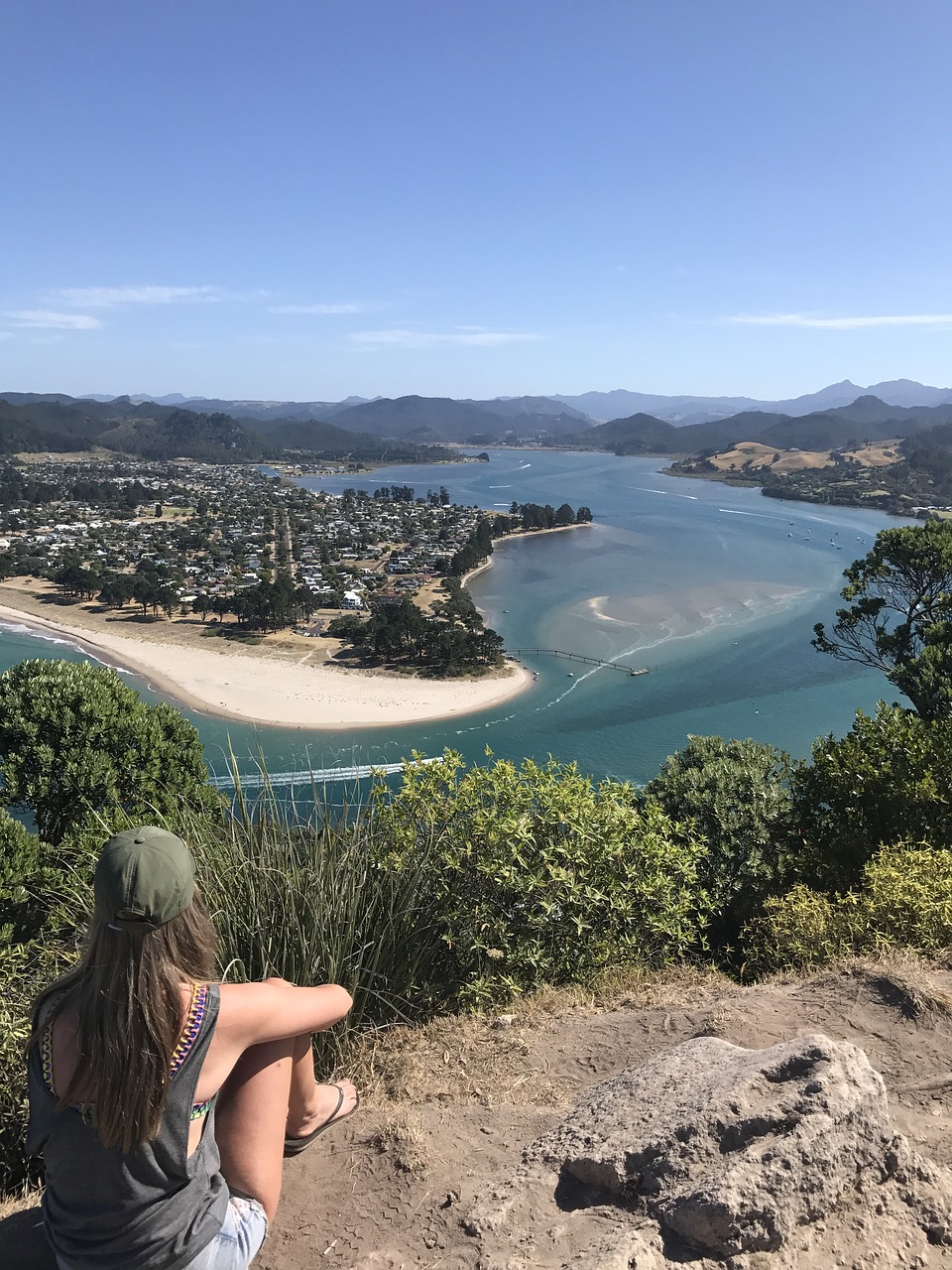 summer new zealand tairua free photo