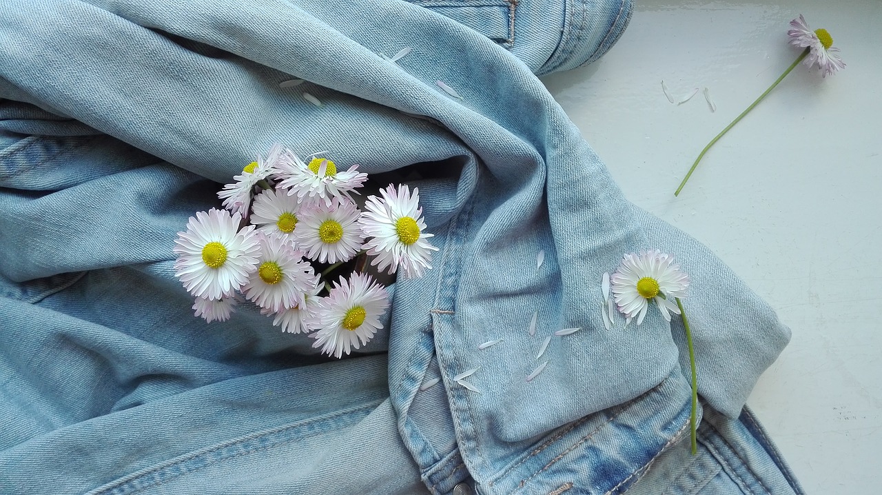 summer jeans daisies free photo