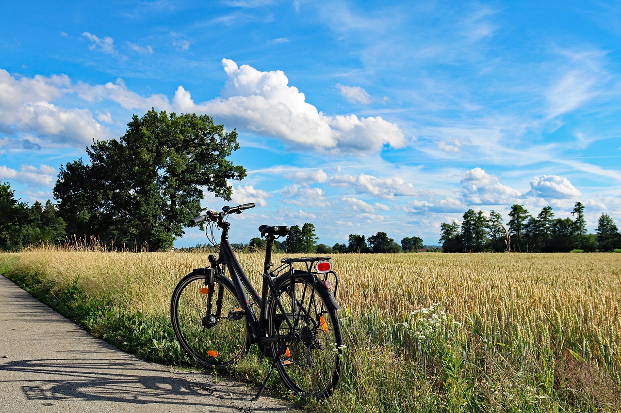 summer bike bike ride free photo