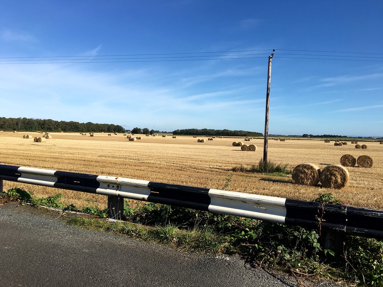 summer harvest hay bails free photo