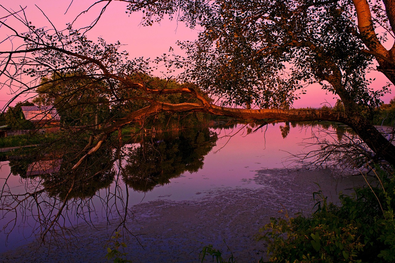 summer evening lake free photo