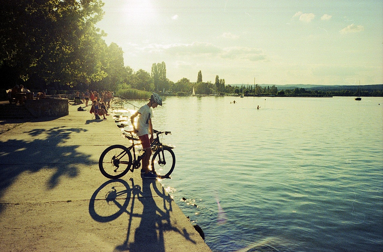 summer lake bicycle free photo