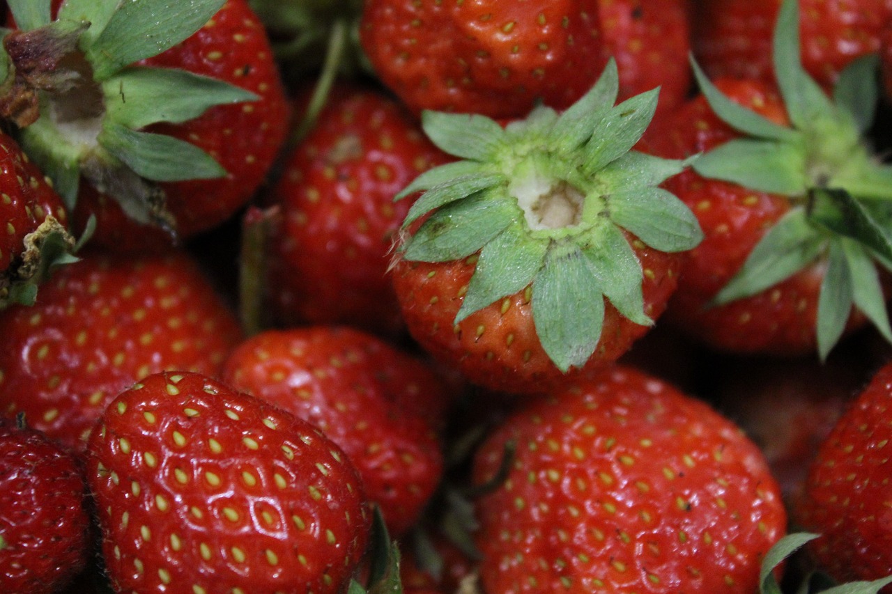summer berry strawberry free photo
