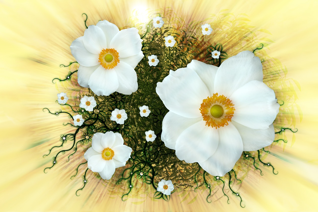 summer anemone sylvestris arrangement free photo
