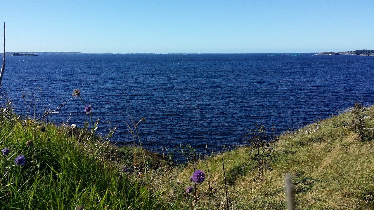 summer sea norway free photo