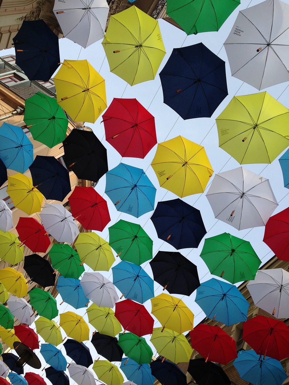 summer umbrella day free photo