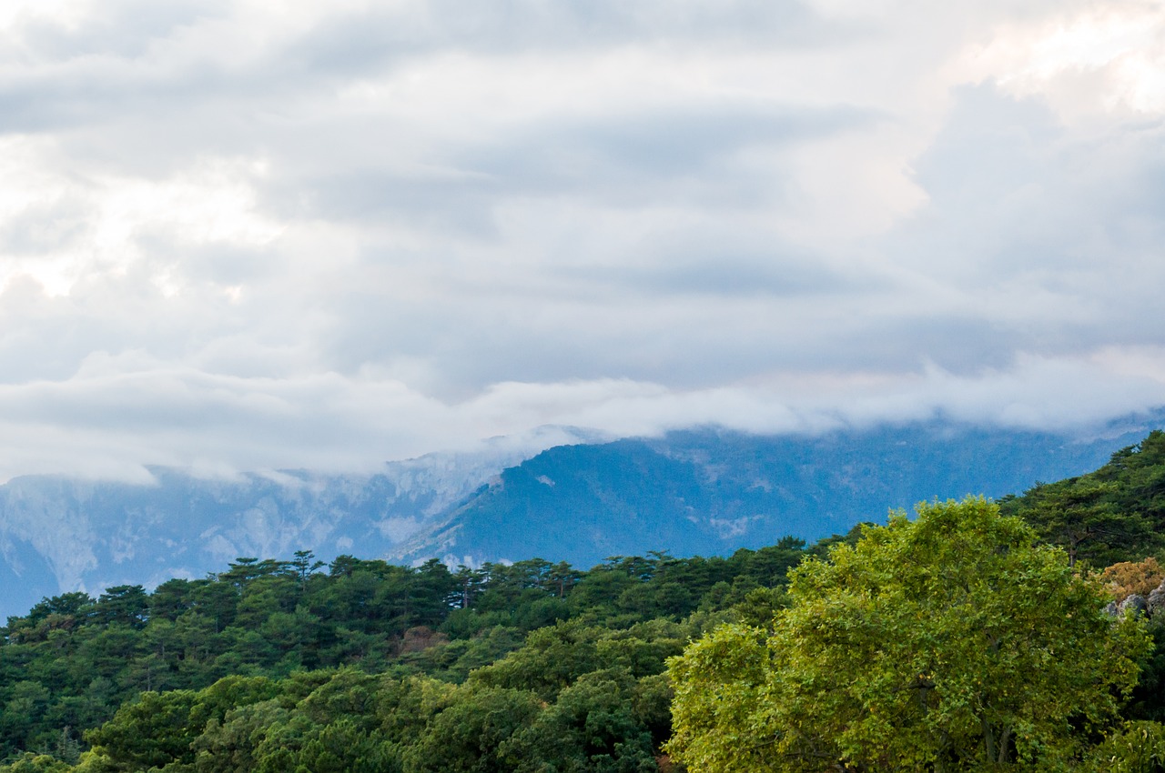 summer mountains fog free photo