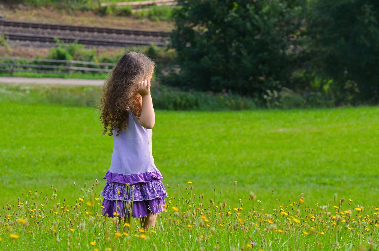 summer grass nature free photo