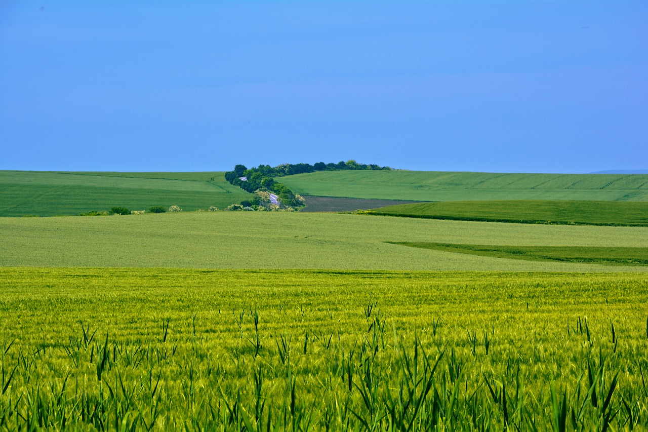 summer blue sky sun free photo