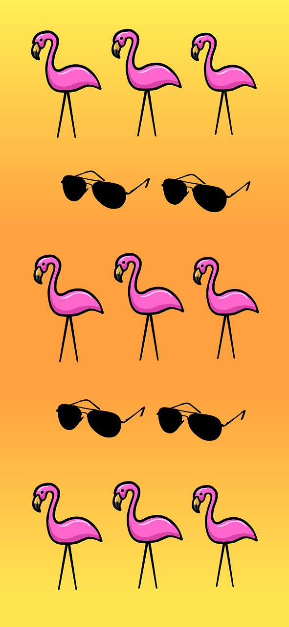 summer flamingo sunglasses free photo