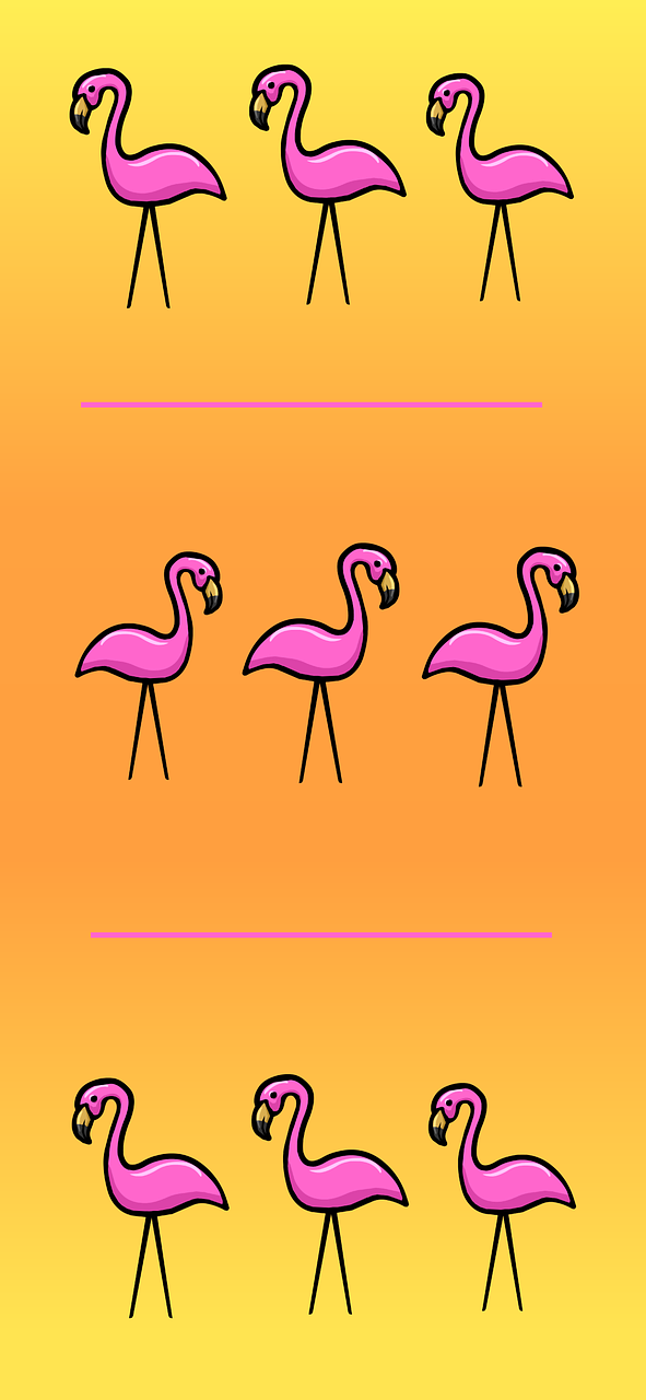 summer flamingo sunglasses free photo