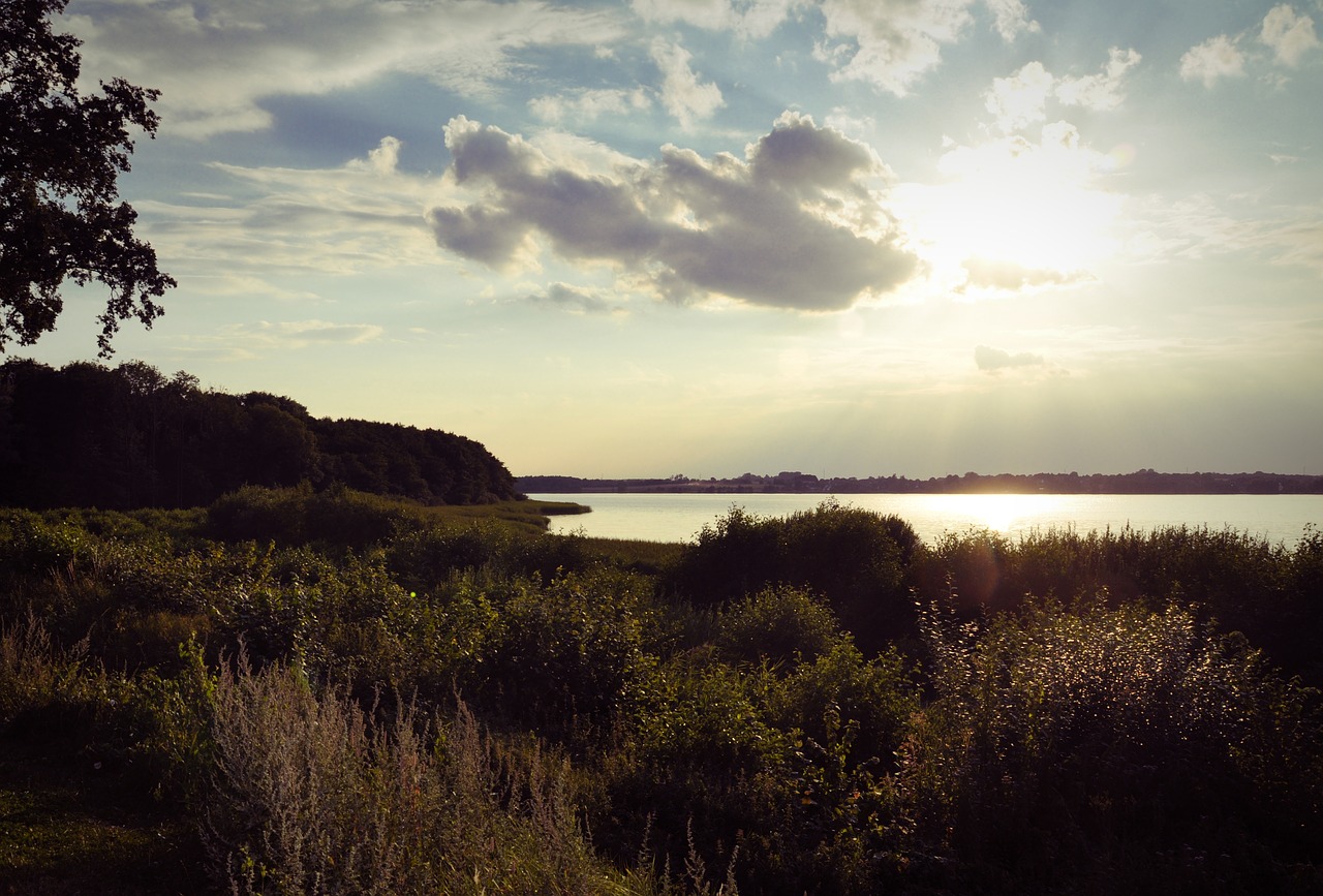 summer  lake  clouds free photo