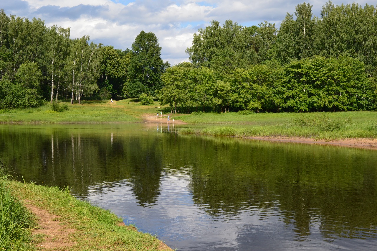 summer  river  water free photo