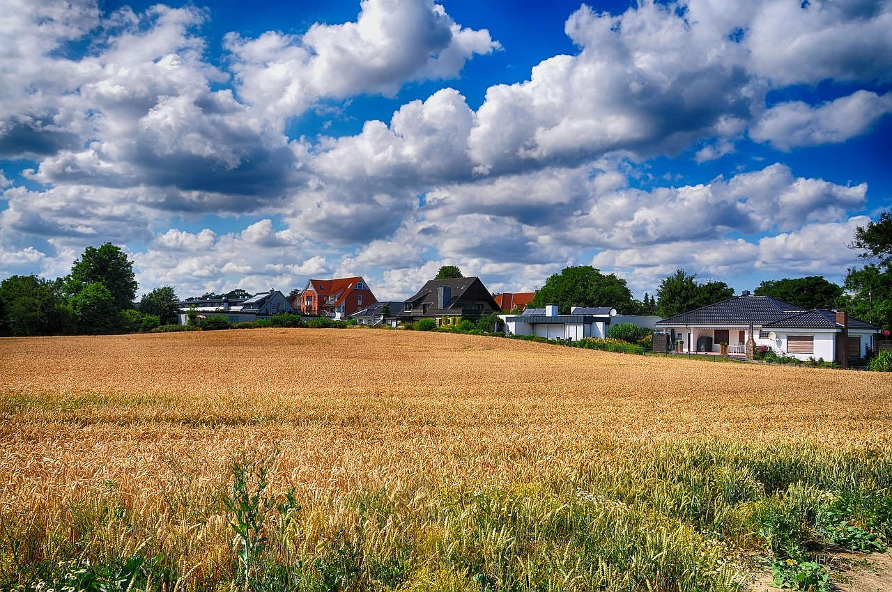 summer field land free photo