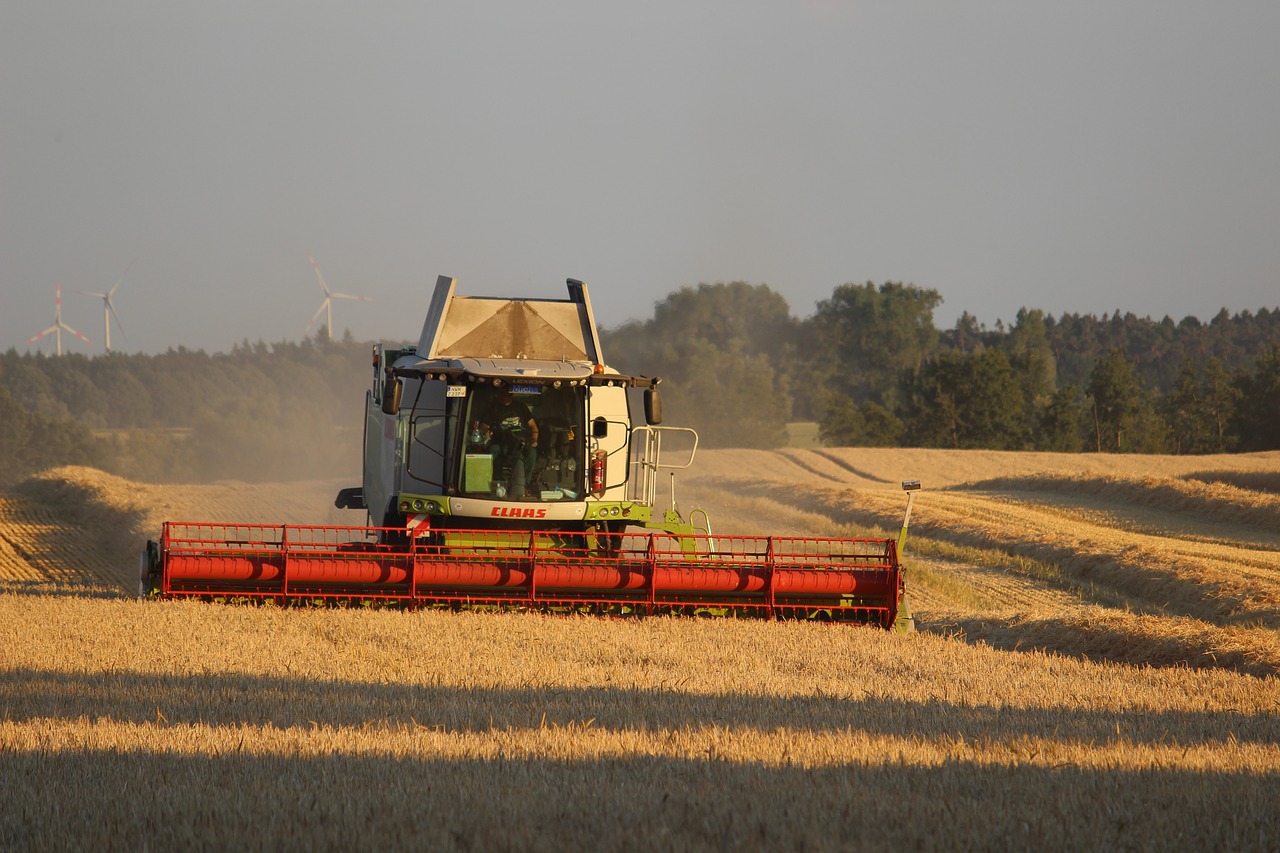 summer  mow  barley free photo