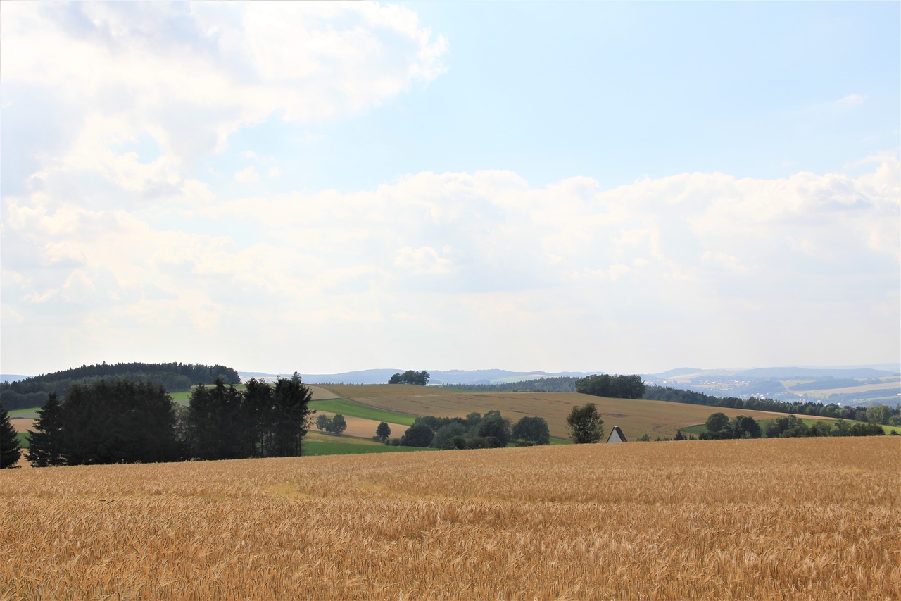 summer  landscape  mountains free photo