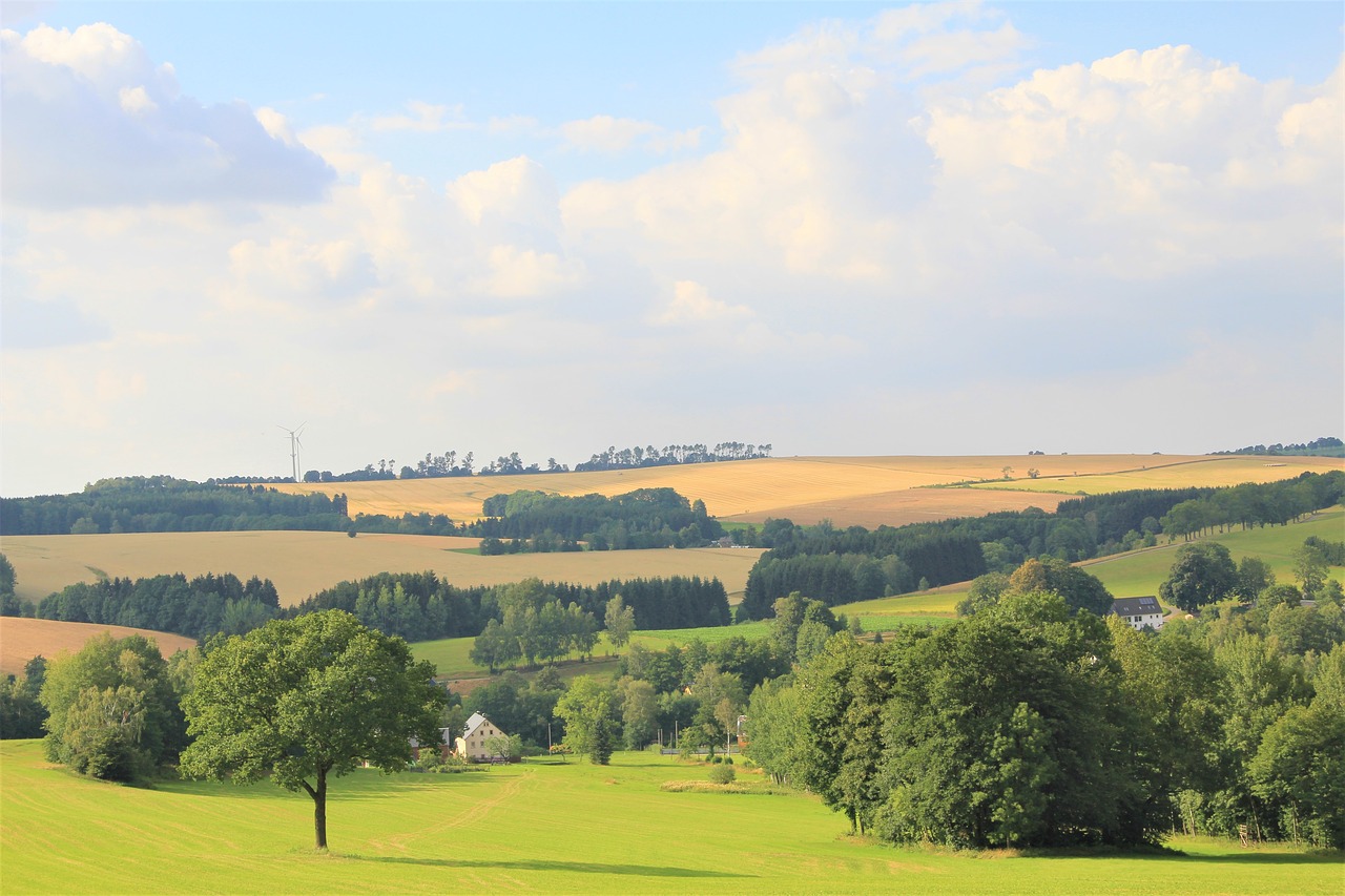 summer  landscape  mountains free photo