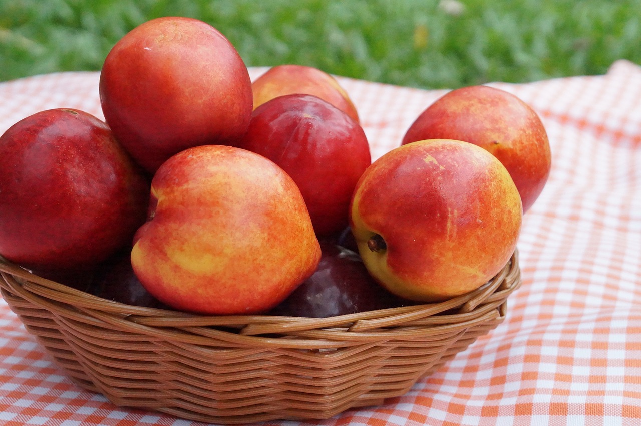 summer  nectarine  fruit free photo