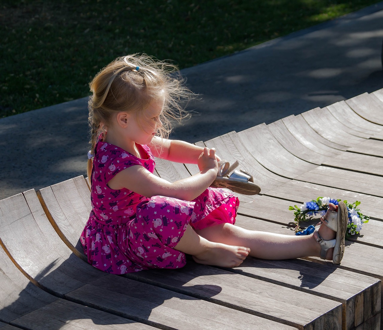 summer  city park  bench free photo