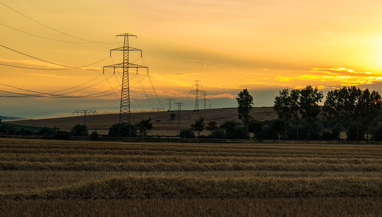 summer  harvest  sun free photo