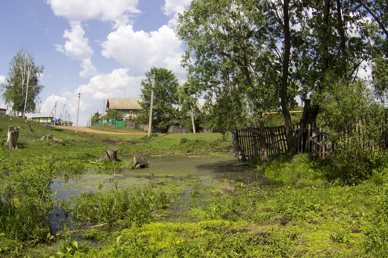 summer swamp village free photo