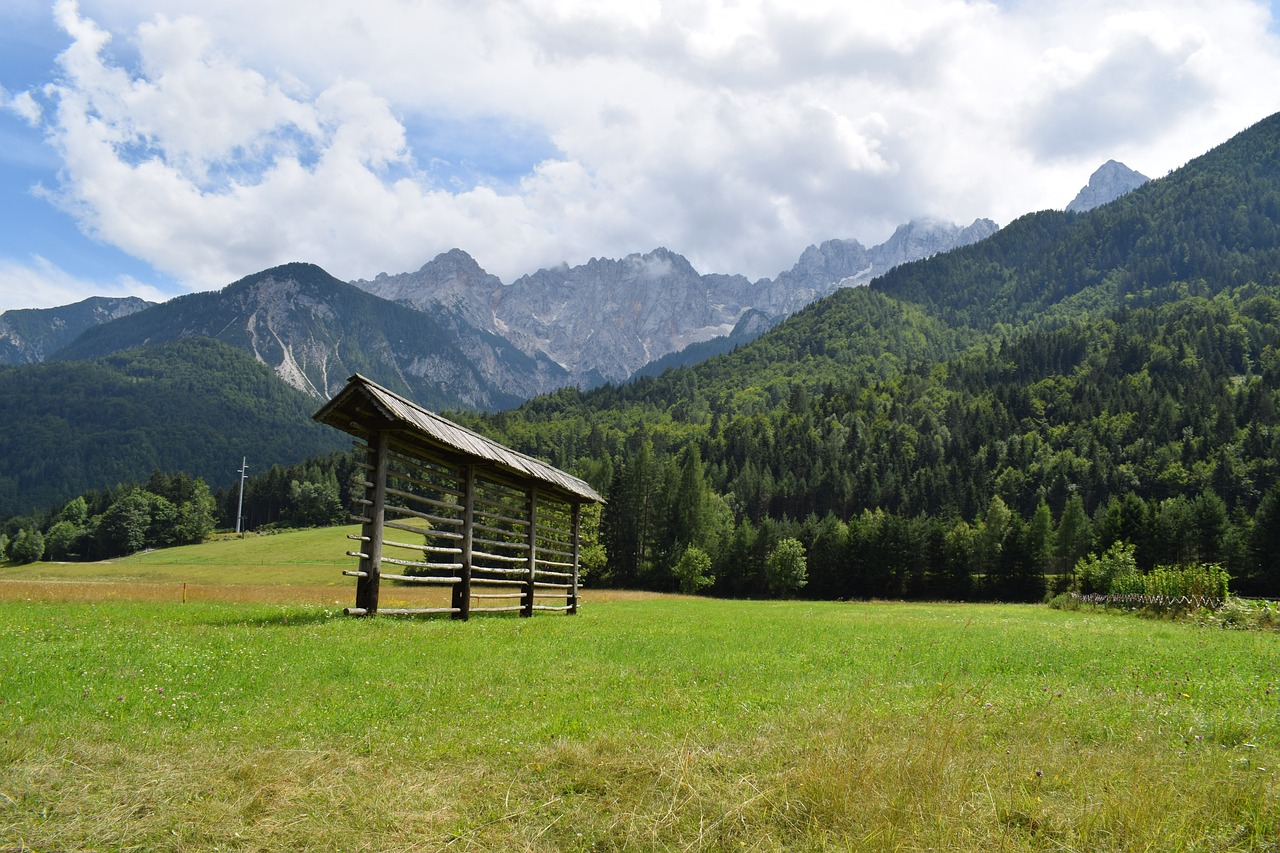 summer  nature  mountains free photo