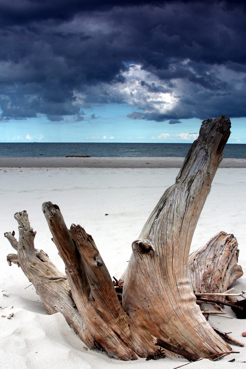 summer  beach  nature free photo