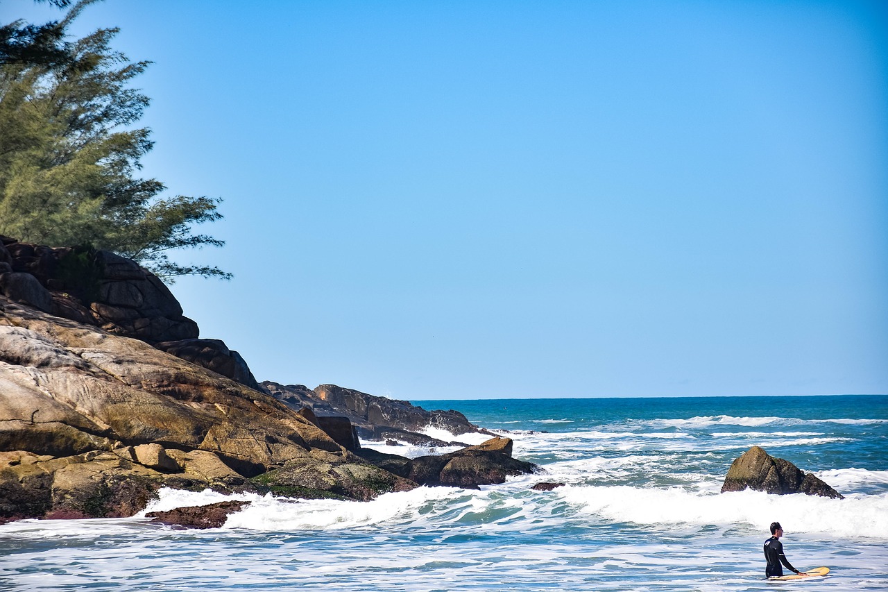 summer  surf  brazil free photo