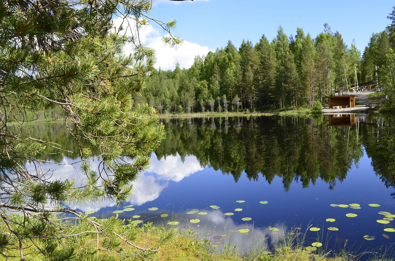 summer lake blue free photo