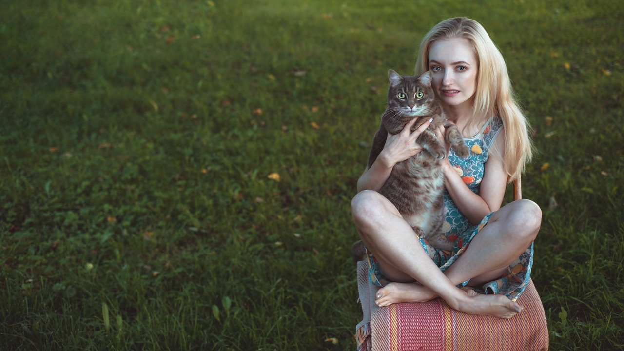 summer  cat  girl free photo