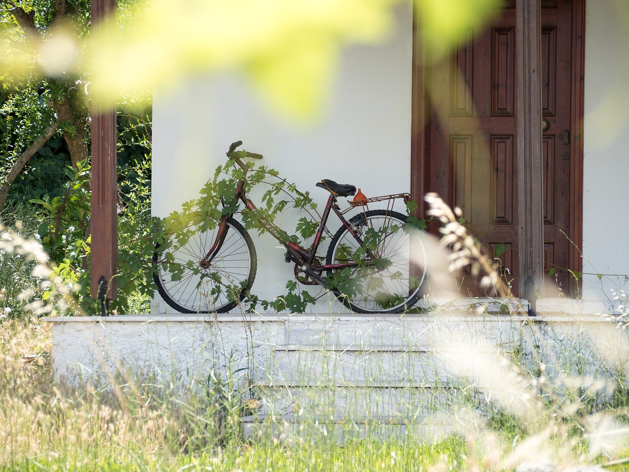 summer  bike  garden free photo