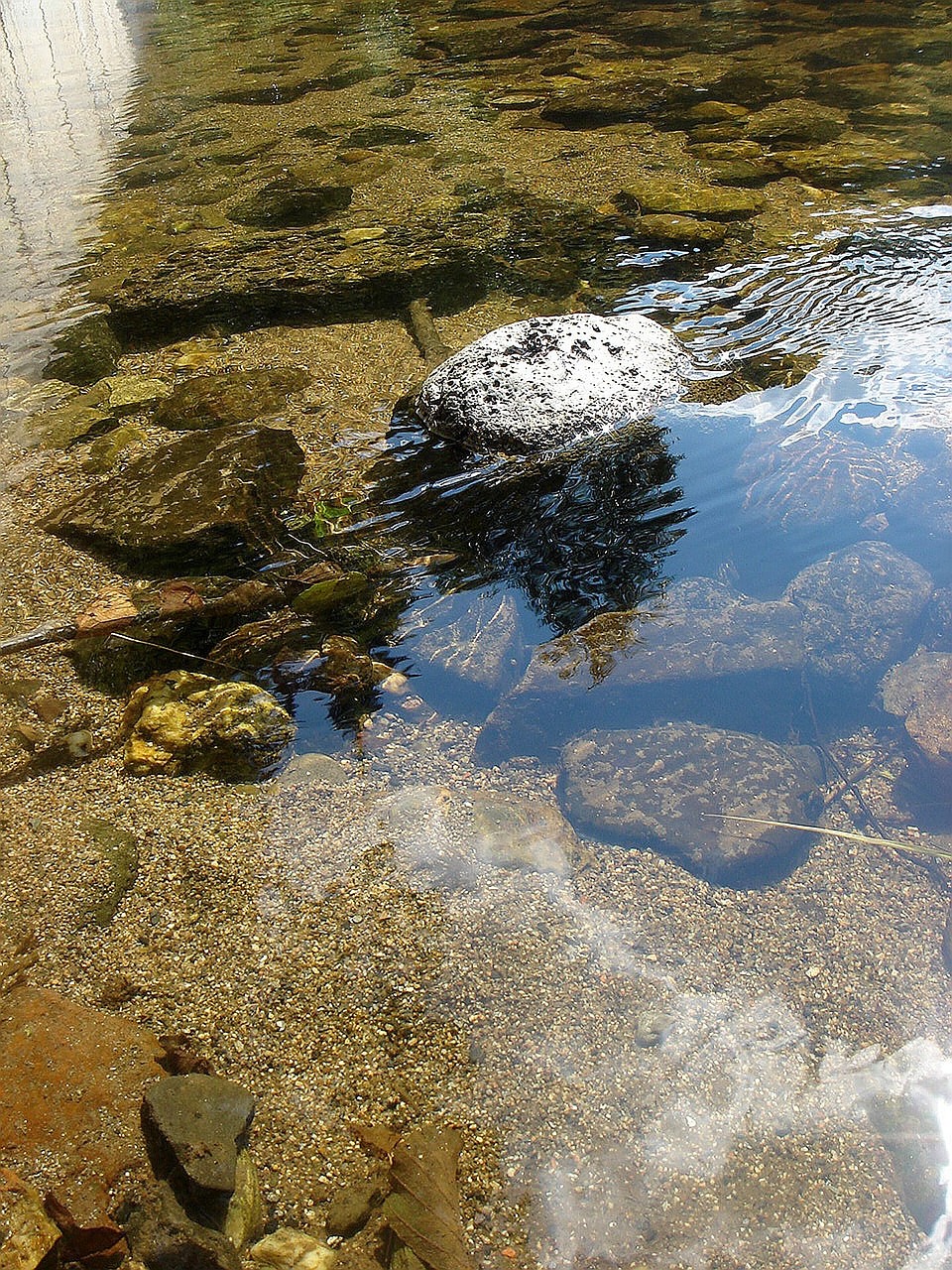 summer river stone free photo