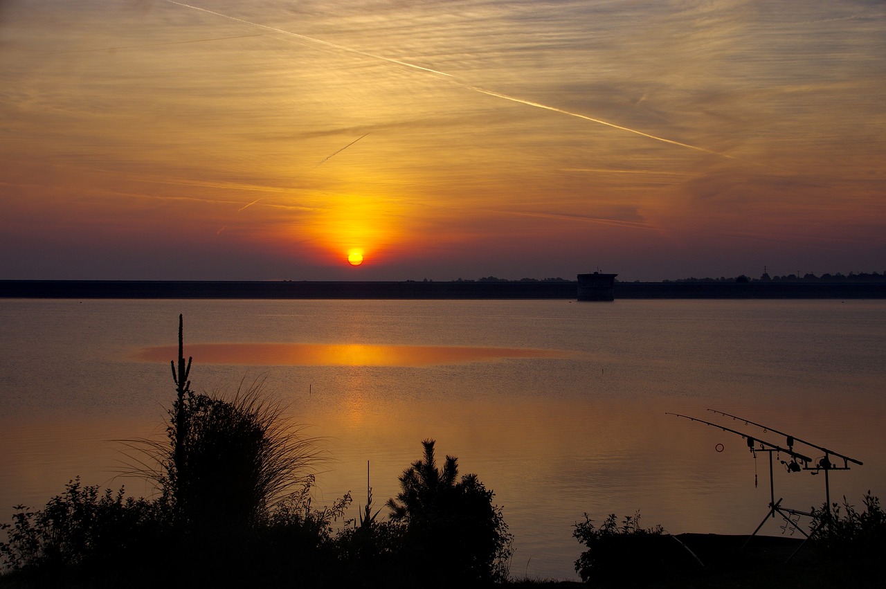 summer  morning  lake free photo