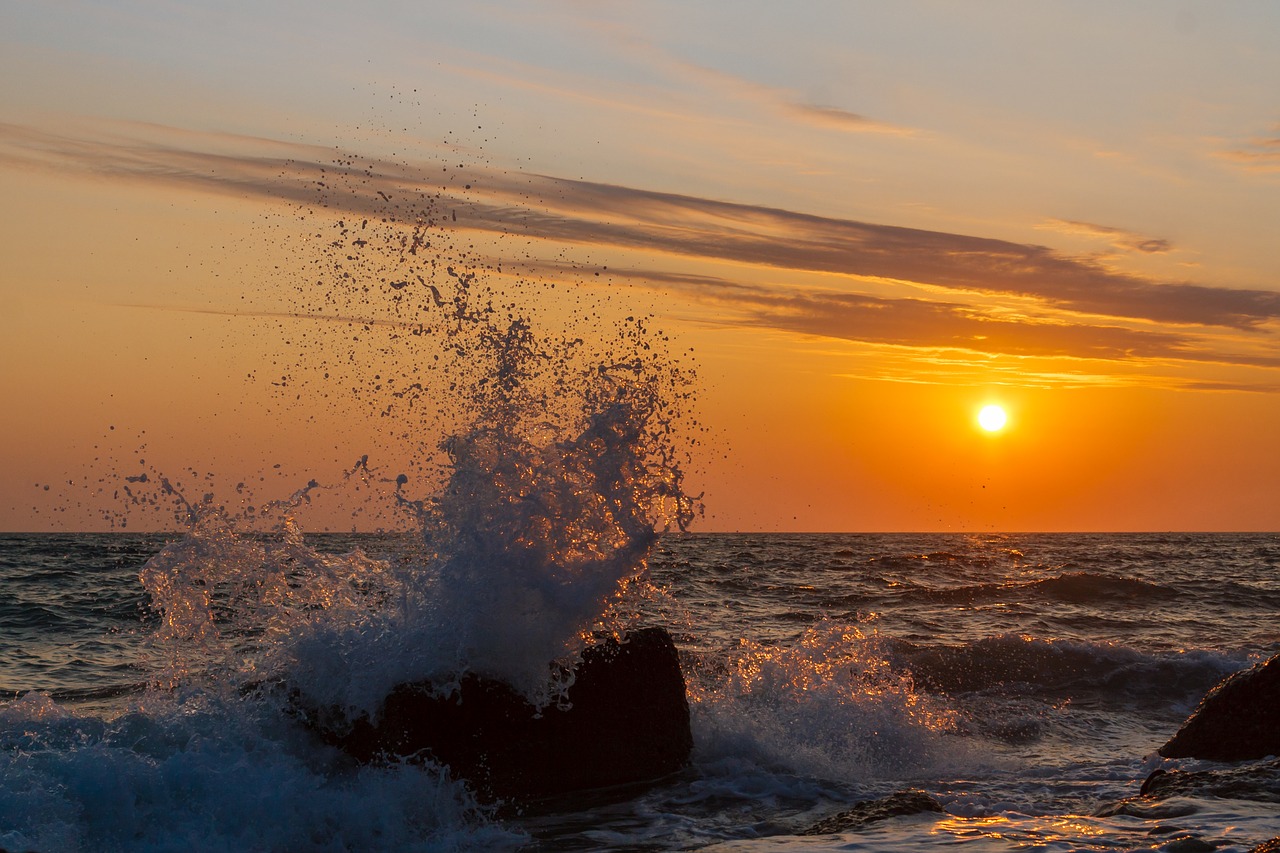 summer  wave  sea free photo