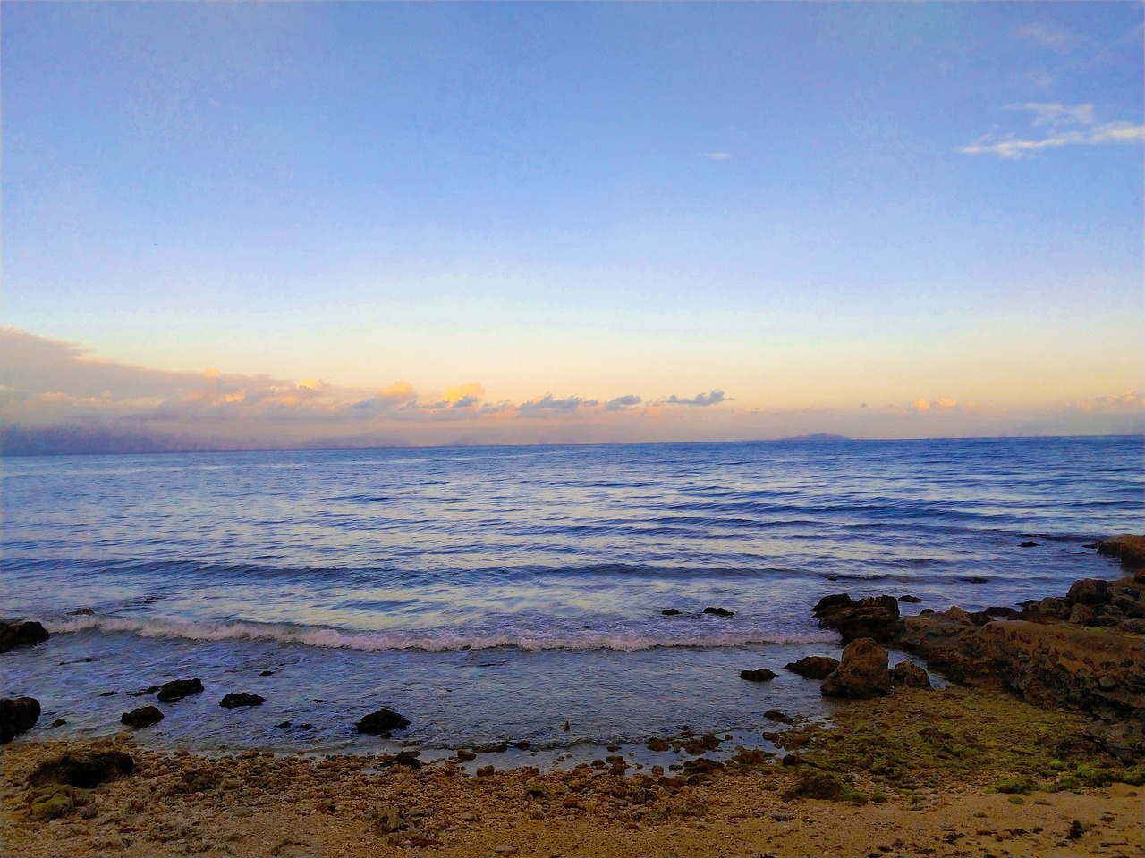 summer  beach side  sea free photo