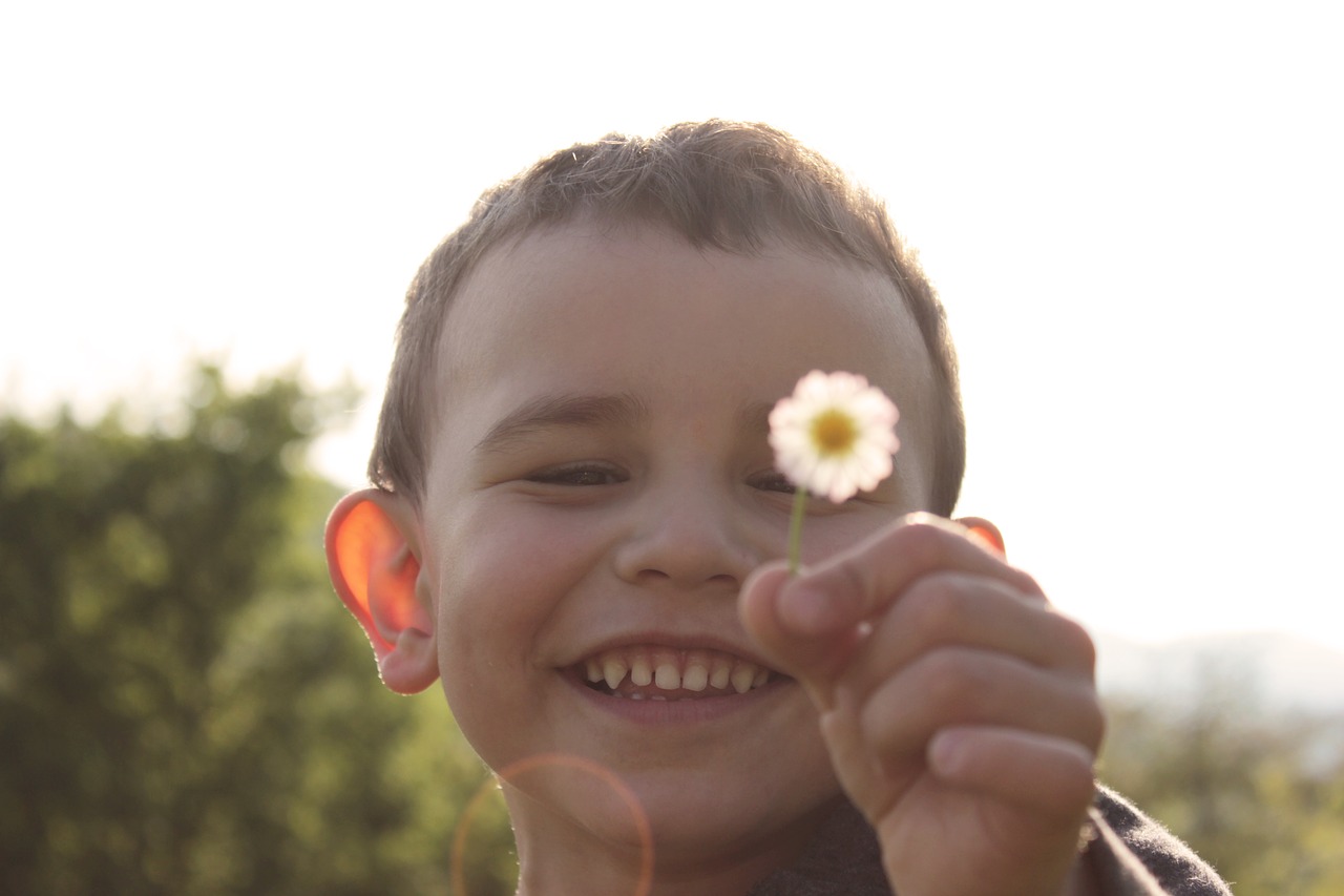 summer  child  boy free photo