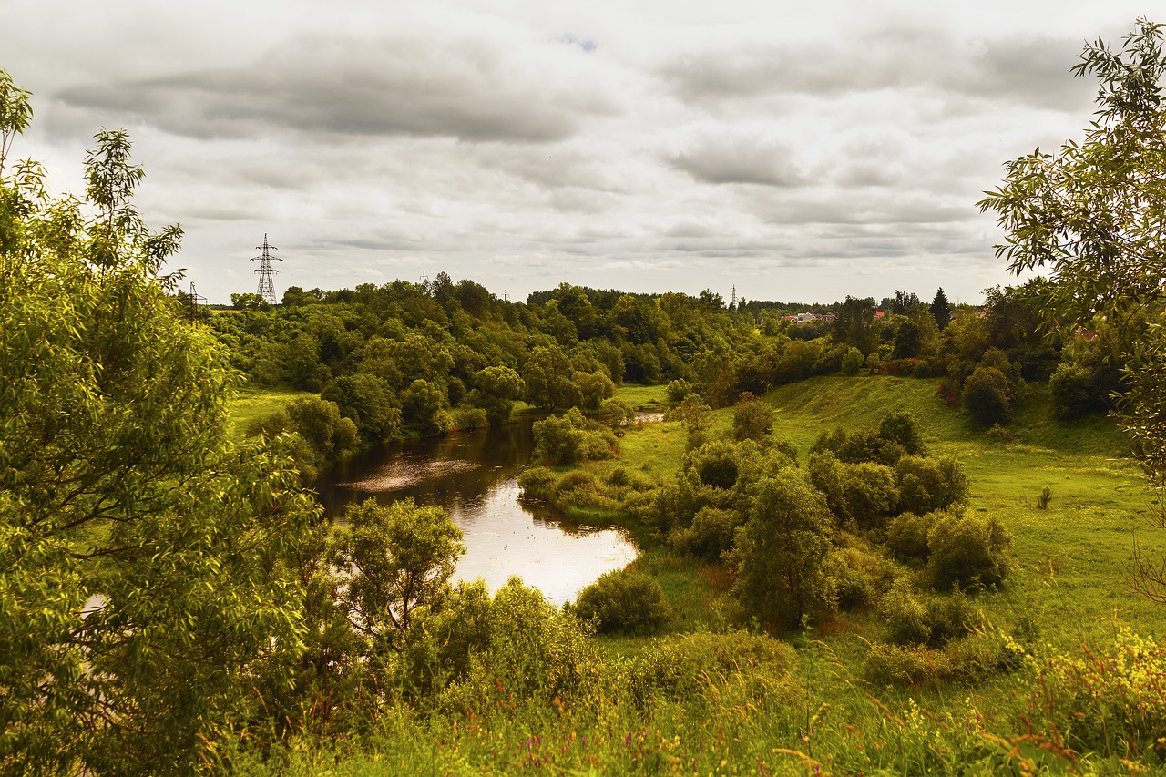 summer  river  landscape free photo