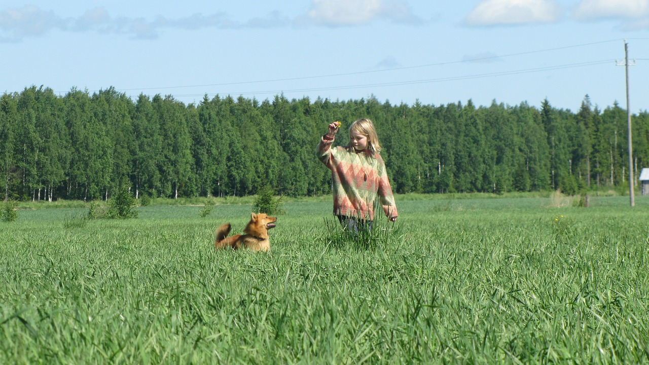 summer hay girl and dog free photo
