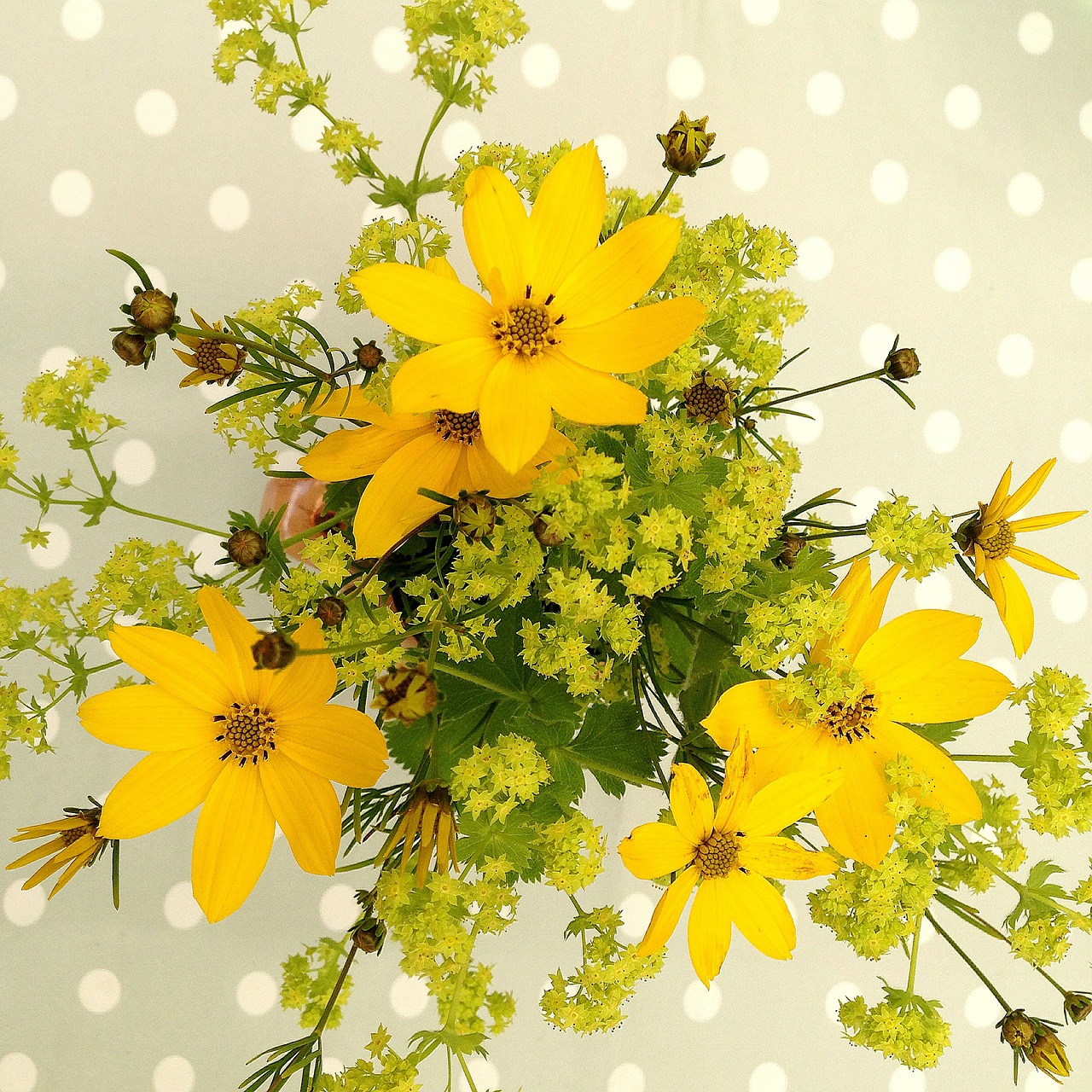 summer bouquet yellow free photo