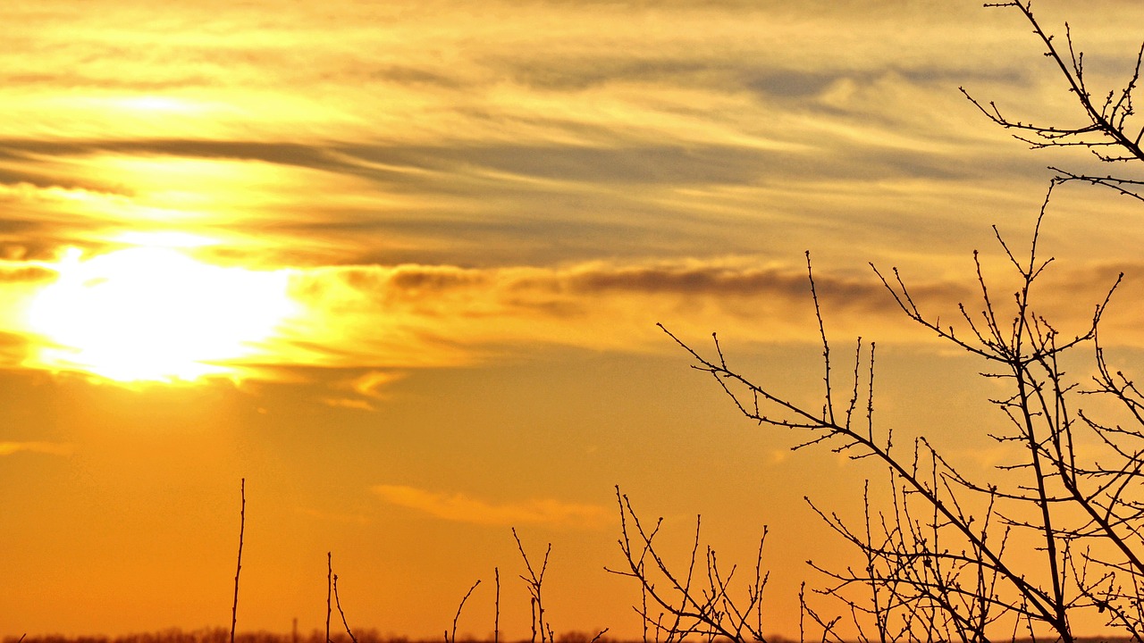 summer sunset yellow free photo