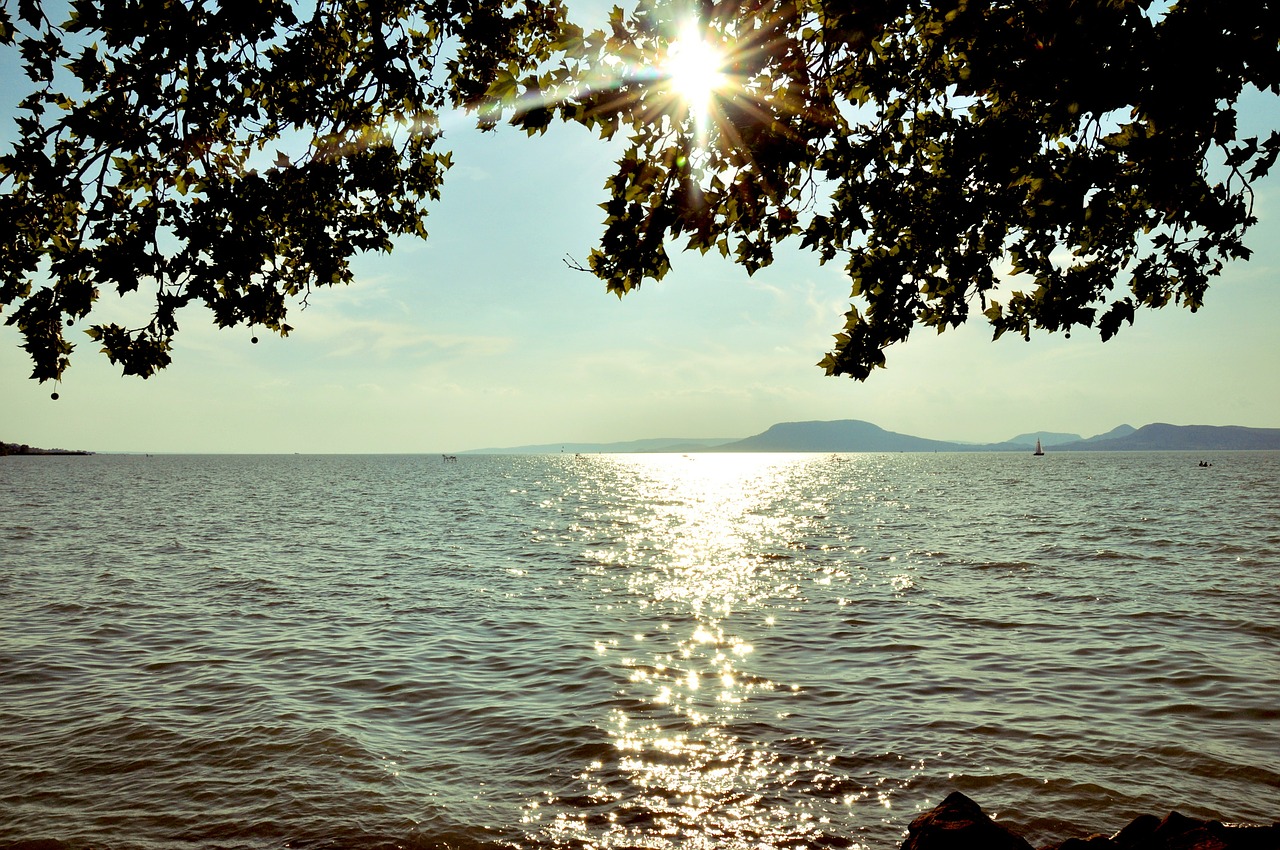 summer lake balaton water free photo