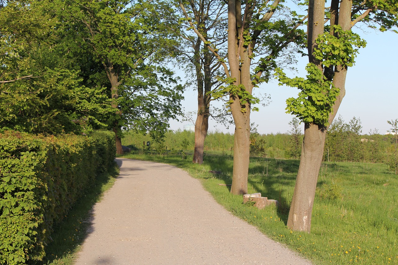 summer cozy small road free photo