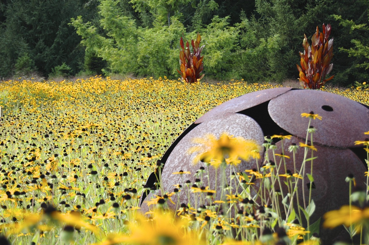 summer meadow art free photo