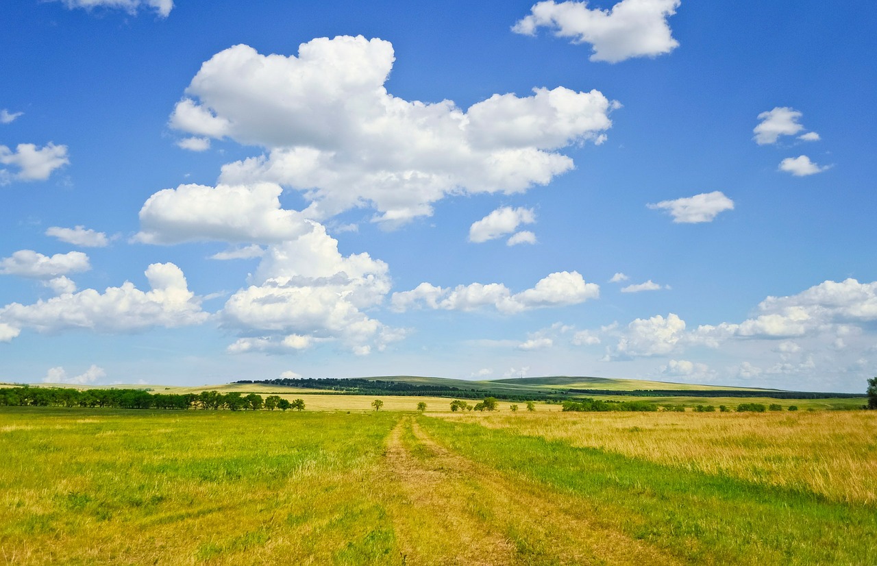 summer field sky free photo