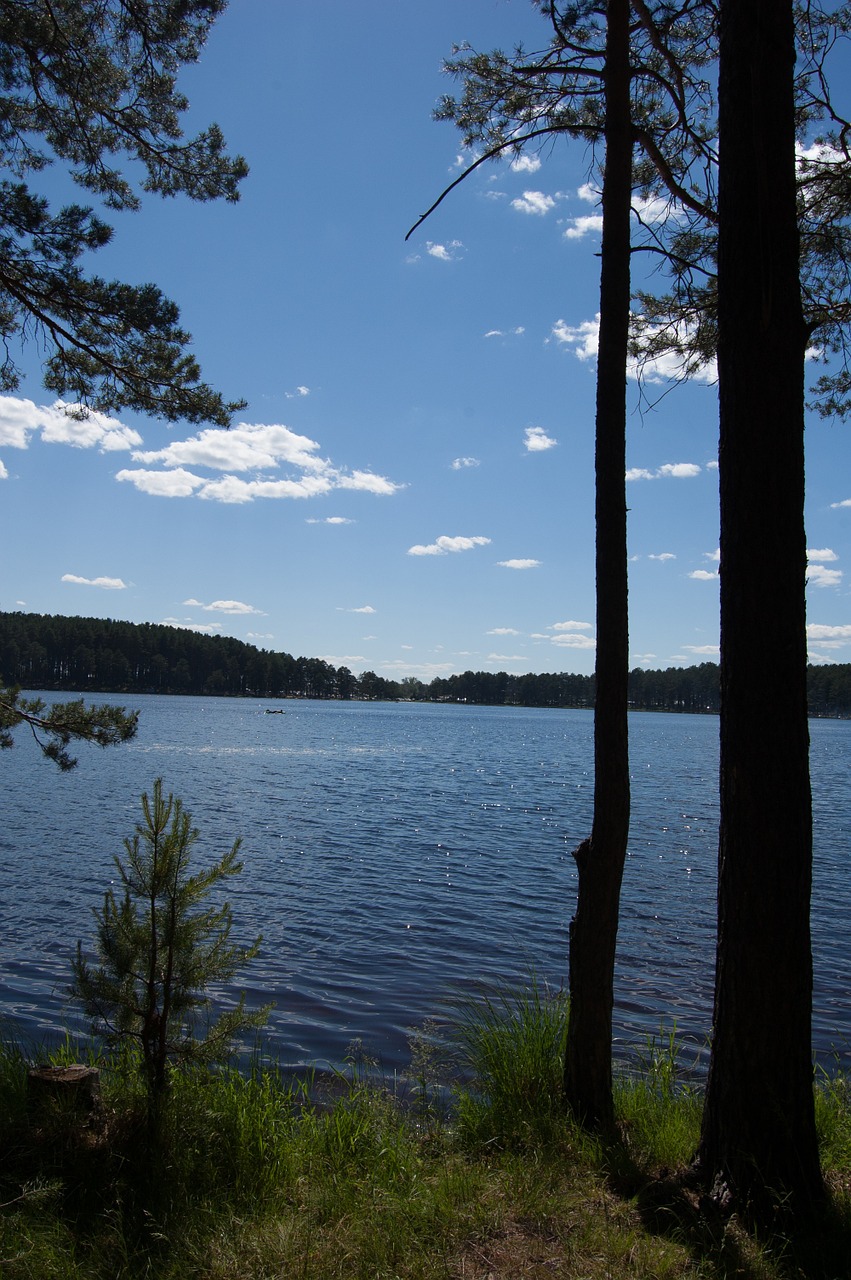 summer the siberian lake western siberia free photo