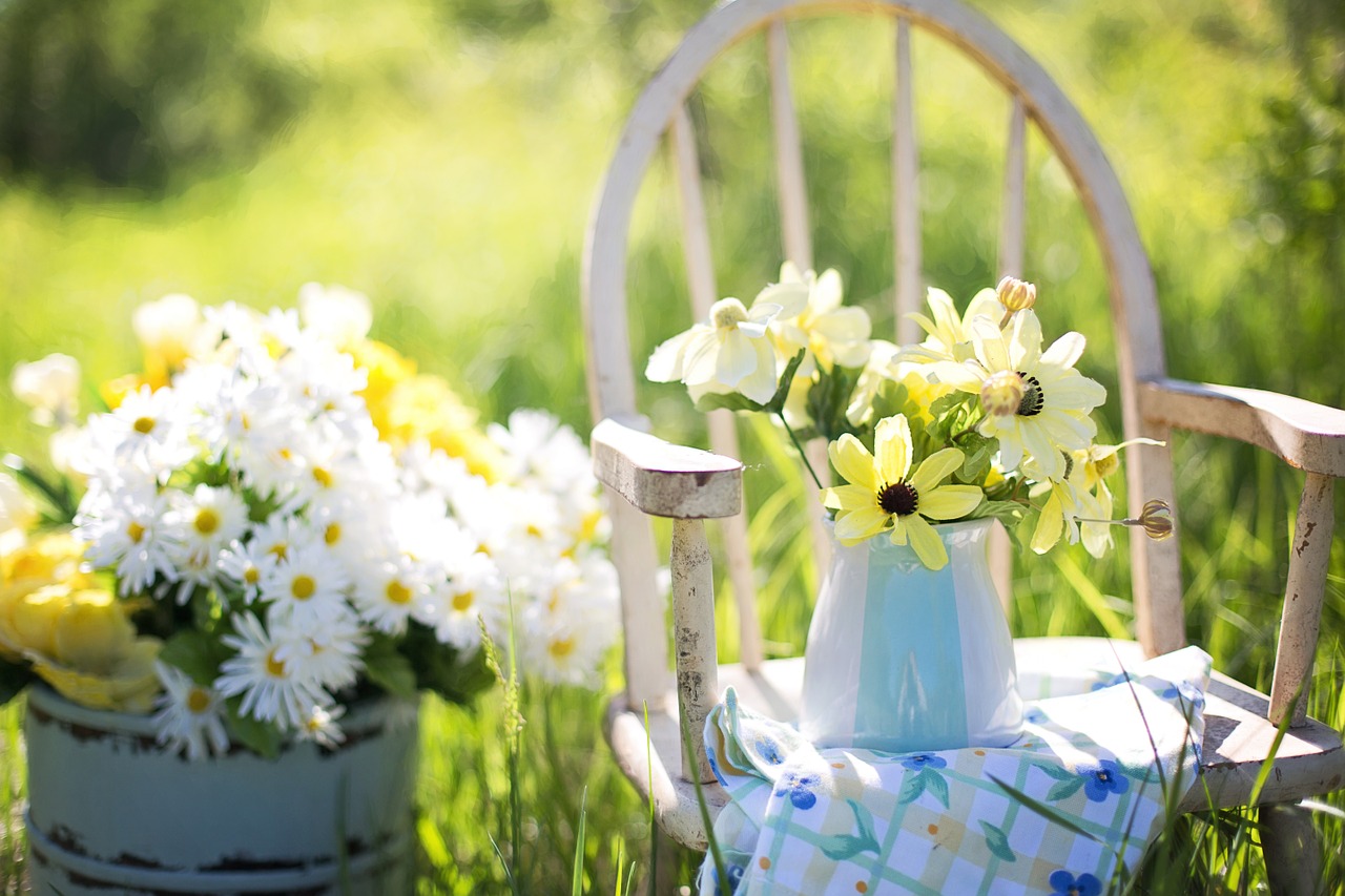 summer still-life daisies free photo