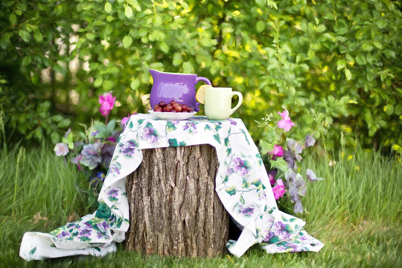 summer still-life pitcher free photo